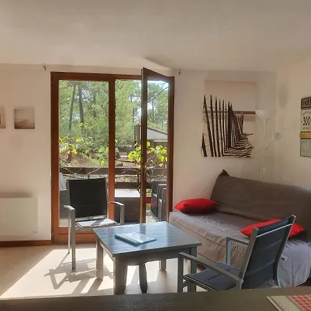 Casa vacanze Avec Piscine Privee Pour Maximum 10 Pers, Coeur De La Pinede Maubuisson Proche Lacanau Carcans